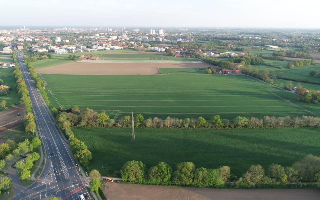 Luftbild der Steinfurter Straße in Münster.