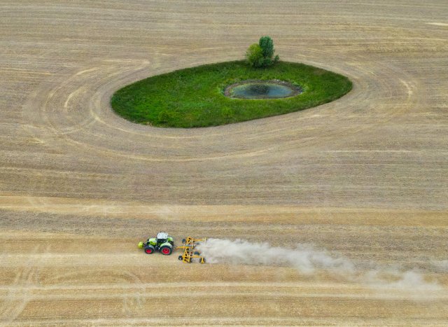 Gegenwärtig ächzt die Landwirtschaft unter Dürre und Hitze, vielerorts musste Getreide wie hier im Osten Brandenburgs mit geringem Ertrag vorzeitig geerntet werden. Aktivisten sagen, höhere Klimaschutzauflagen würden den Bauern langfristig helfen.