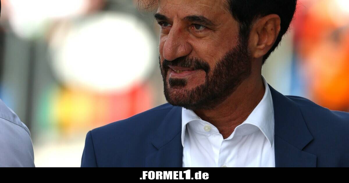 FIA-Präsident Sulayem will zwölftes Team aus China