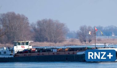Mannheim: Rheinpegel sinkt, ist aber noch "nicht dramatisch" - Mannheim und Metropolregion Rhein-Neckar - Nachrichten und Aktuelles
