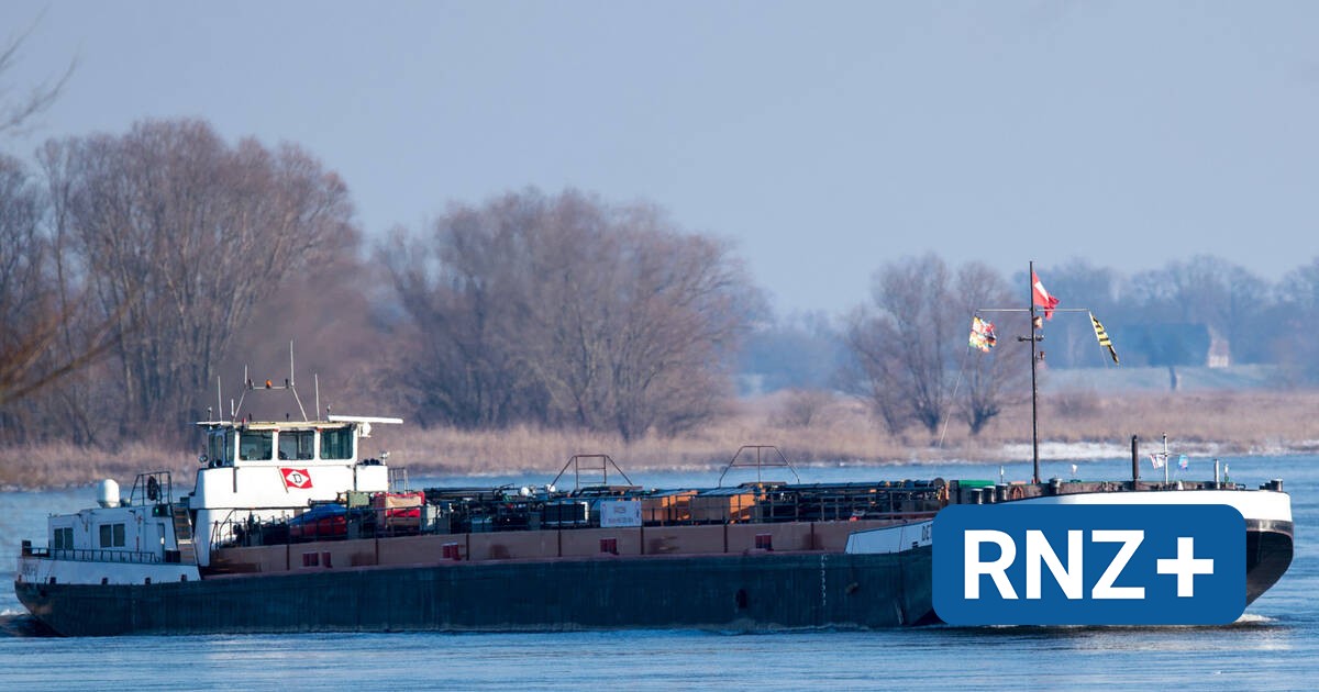 Mannheim: Rheinpegel sinkt, ist aber noch "nicht dramatisch" - Mannheim und Metropolregion Rhein-Neckar - Nachrichten und Aktuelles