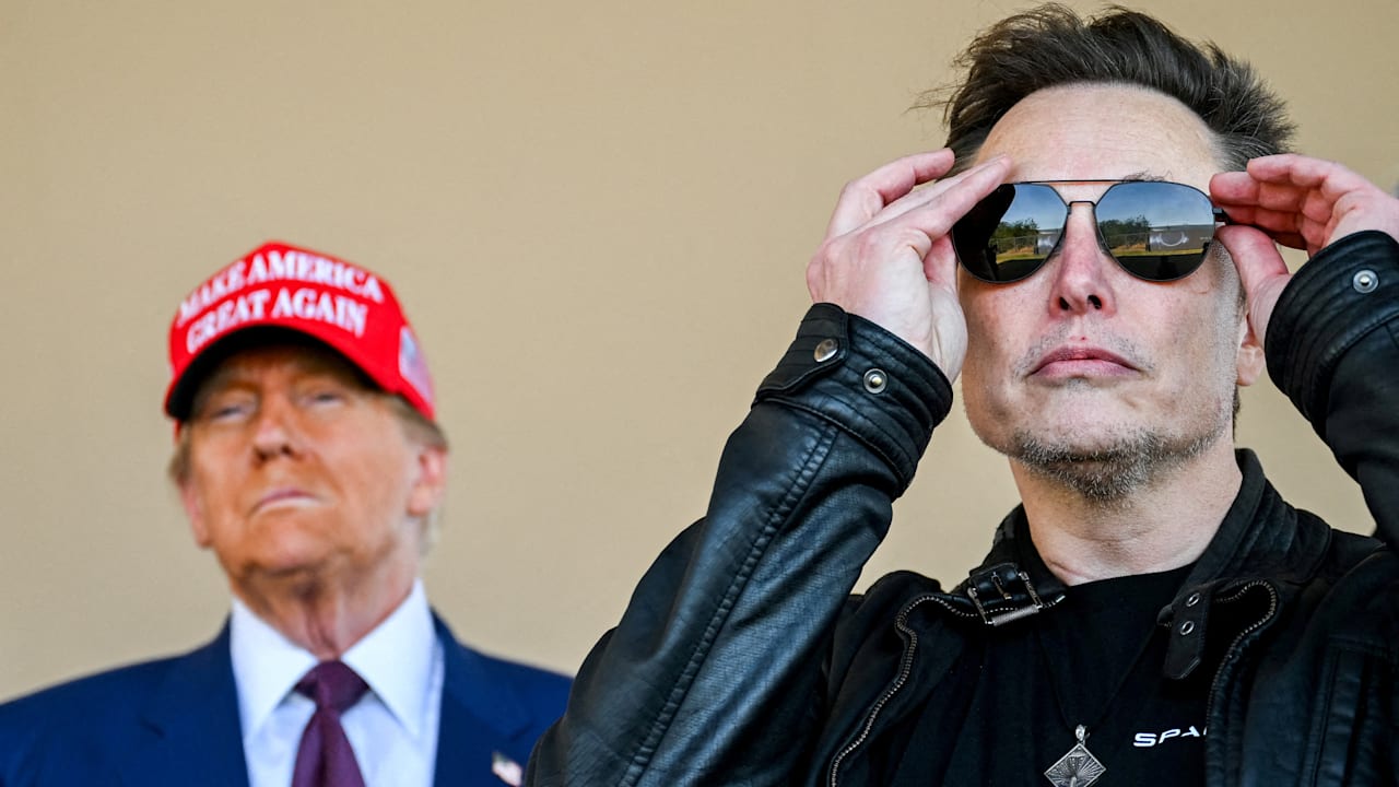 So hat Elon Musk Trump in der Hand: US-Regierung ohne Alternative | Politik