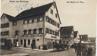 ZVW Plus Artikel