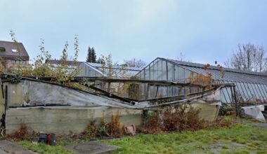 ZVW Plus Artikel
