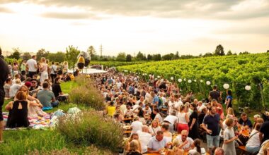 ZVW Plus Artikel