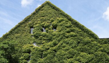 Nachhaltige Architektur: Wir bauen uns Städte aus Popcorn - Kultur