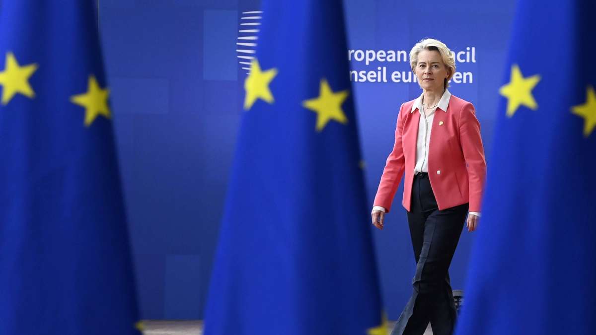 Misstrauensvotum gegen von der Leyen: Vergeltung für Russland-Resolution?
