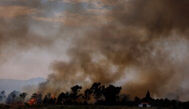 Extreme Trockenheit – Erneut mehrere Waldbrände in Frankreich und Spanien