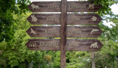 Eine Tierart kann sich auf ein neues Zuhause freuen