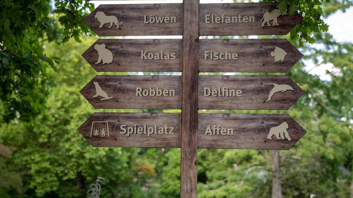 Eine Tierart kann sich auf ein neues Zuhause freuen