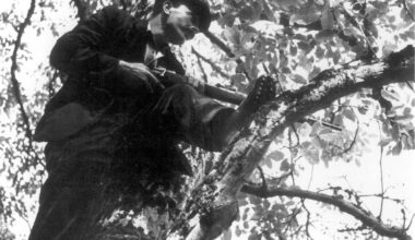 Buch über Résistance-Kämpfer: Eine Epoche, in der Mut und Niedertracht beieinander lagen