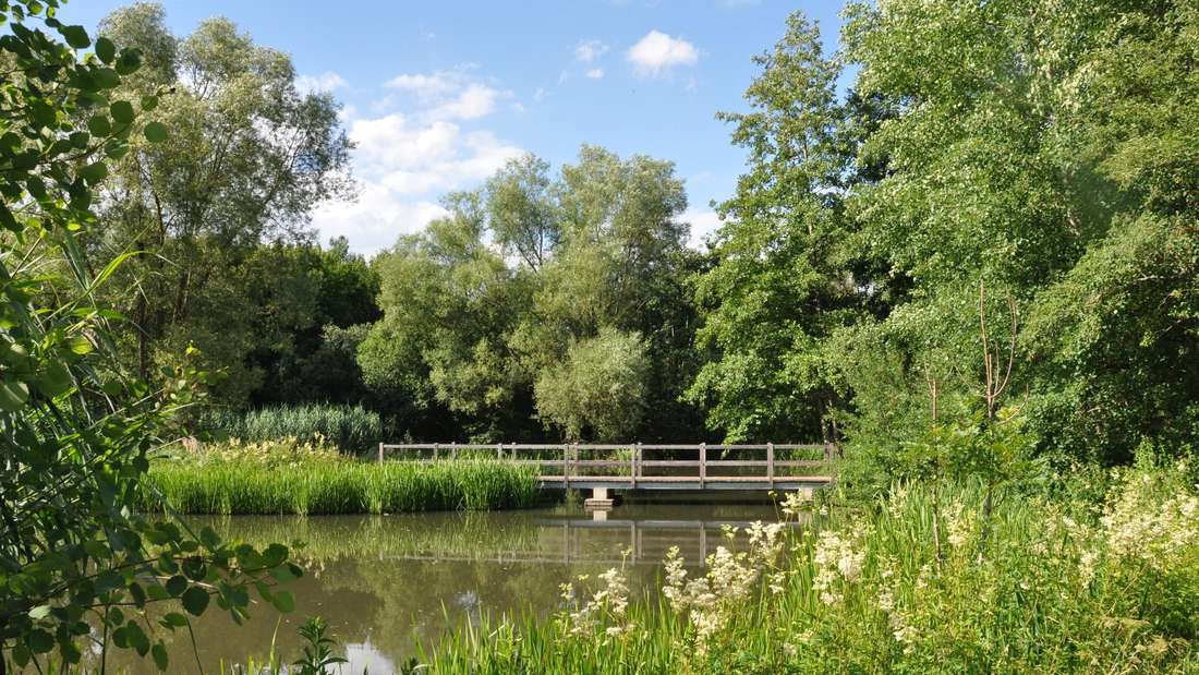 Die Teichanlage „In der Wasche“ in Sachsenberg ist ein idyllisches Plätzchen. Dort findet die Lesung am Tretbecken statt. 