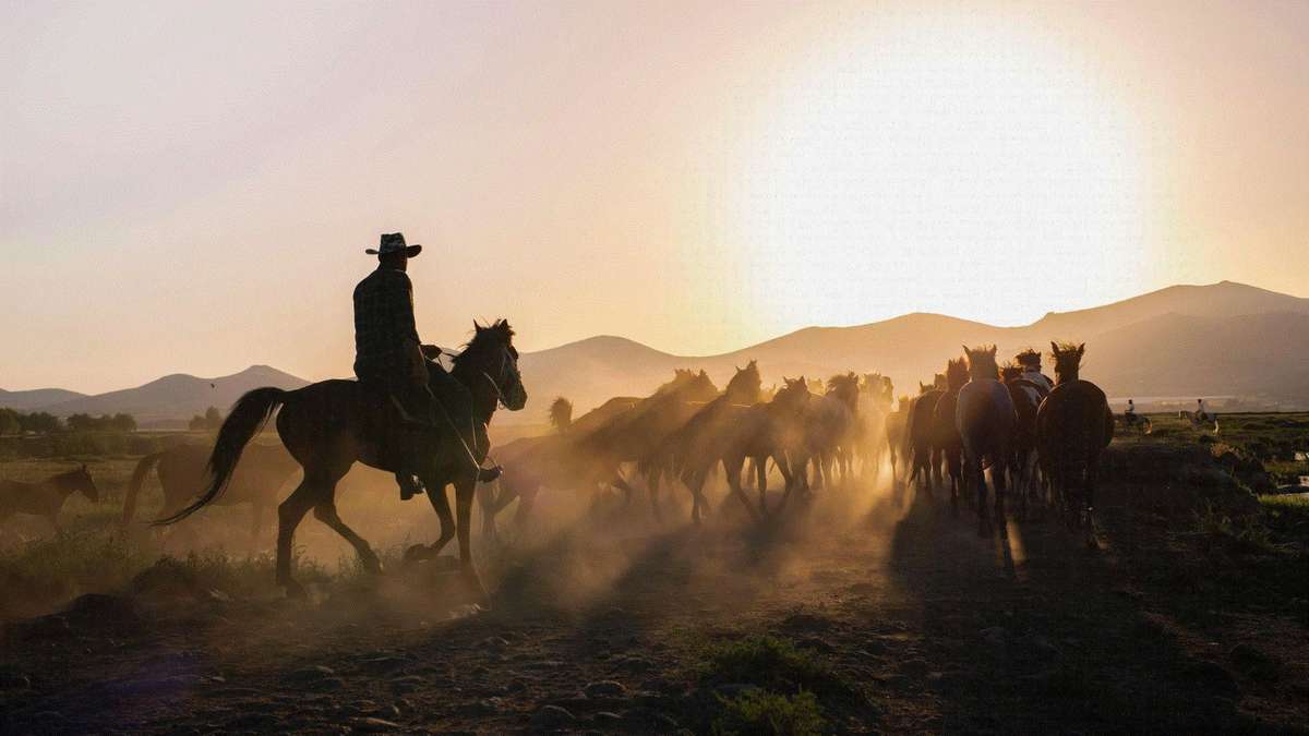 Das neueste Kapitel des „Yellowstone“-Universums