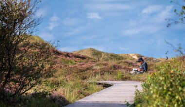 Besteller: Neueinsteiger im Juli - Romantasy und Bretagne-Krimi