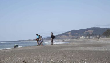 Trump-Zölle zeigen Wirkung: Touristen-Einbruch in den USA