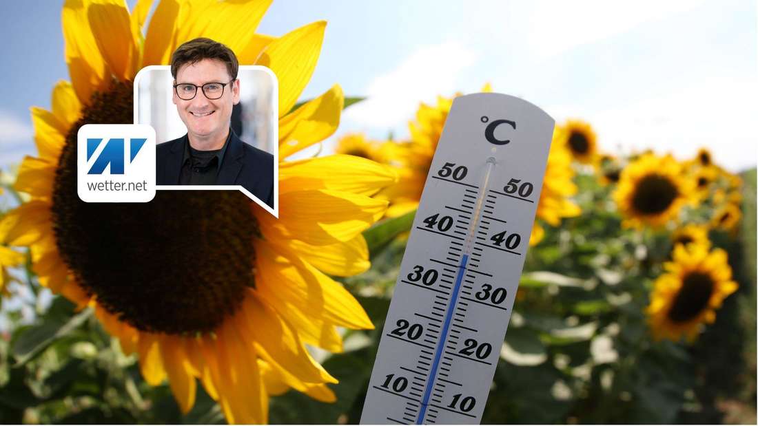 Sonnenblume mit einem Thermometer. Es ist heiß. 