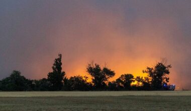 Sachsen und Brandenburg: Waldbrand in Gohrischheide