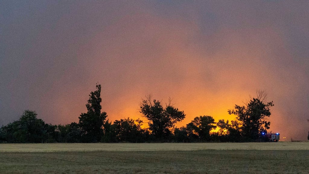 Sachsen und Brandenburg: Waldbrand in Gohrischheide