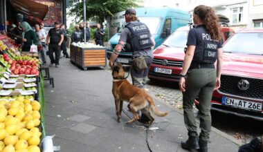 Rumäne sollte ausgeliefert werden: Dieser Verbrecher (26) türmte aus dem Gericht | Regional