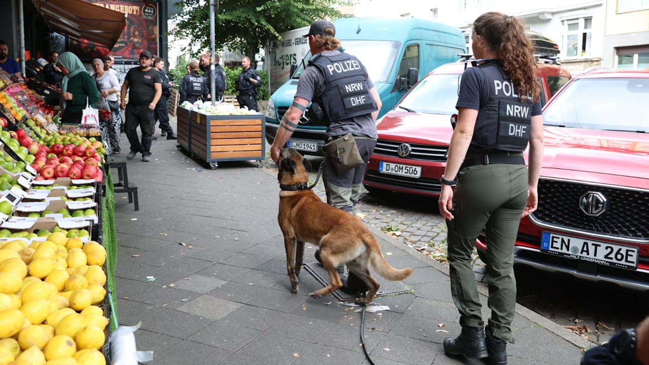 Rumäne sollte ausgeliefert werden: Dieser Verbrecher (26) türmte aus dem Gericht | Regional