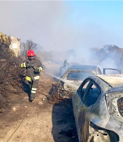 Auf Sardinien haben Flammen Strand-Besucher bedroht. AUch Autos brannten aus.