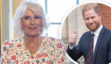 Prinz Harry: Versöhnungstreffen mit König Charles und Camilla? | Unterhaltung