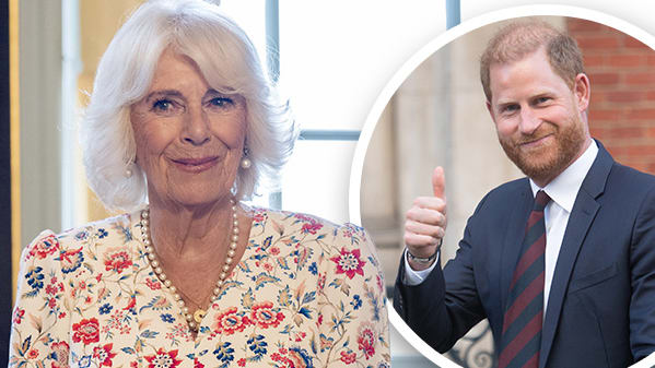 Prinz Harry: Versöhnungstreffen mit König Charles und Camilla? | Unterhaltung