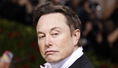 Treue Streiter mit Einfluss?: Musk hat trojanisches Pferd in Trumps Regierung platziert