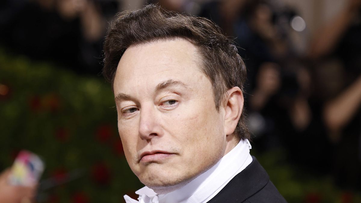 Treue Streiter mit Einfluss?: Musk hat trojanisches Pferd in Trumps Regierung platziert