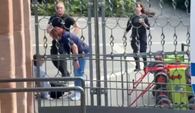 Tiergarten Nürnberg: Werden Paviane erschossen? Aktivisten stürmen Gelände | Regional