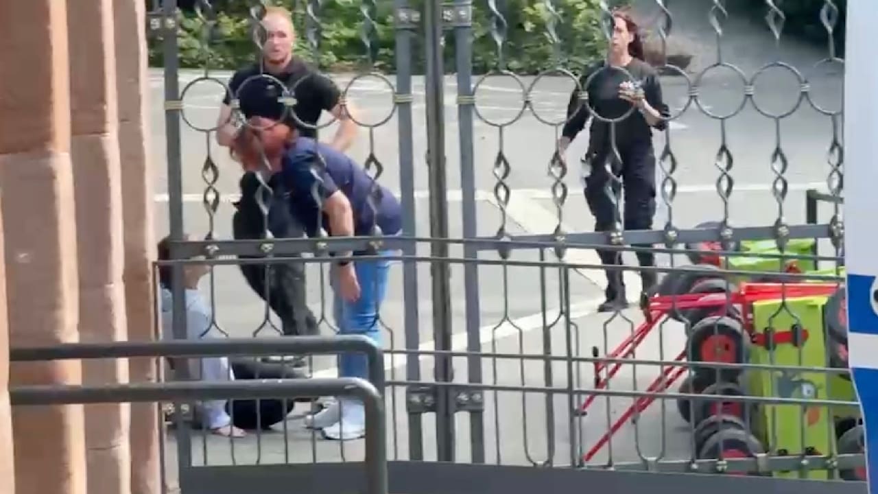Tiergarten Nürnberg: Werden Paviane erschossen? Aktivisten stürmen Gelände | Regional