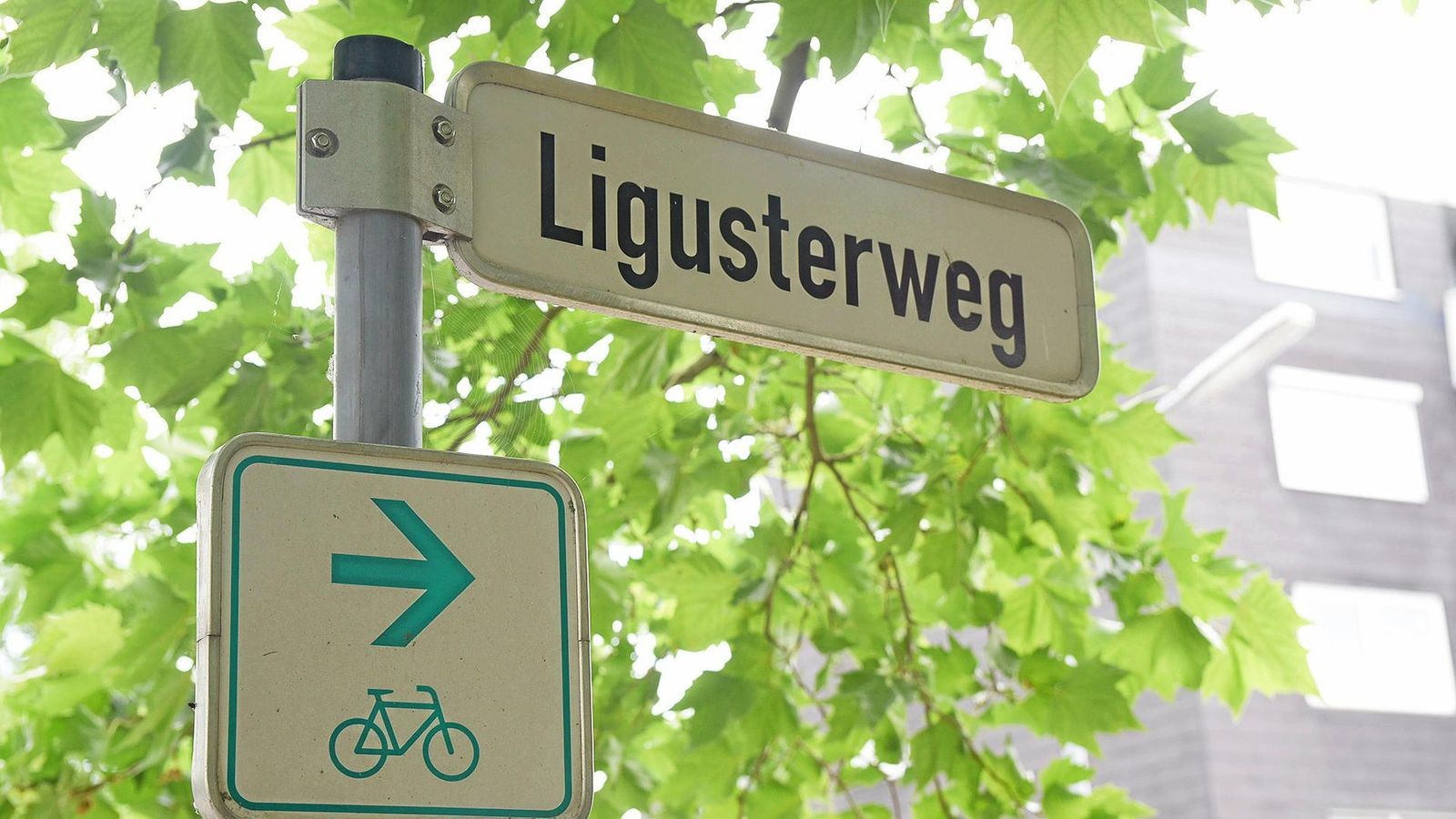 Wer wohnt im Ligusterweg 4?