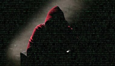 Hacker sollen 170 Cyberangriffe in Deutschland verübt haben