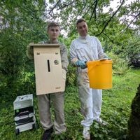 Die Insektenbeauftragten Elias Schneider (rechs) und Oskar Jachewicz bringen an einem Aussiedlungsort beim Bund-Kreisverband in Wolfenbüttel das an einem Dachboden in Hornburg entfernte Wespennest neu an. 