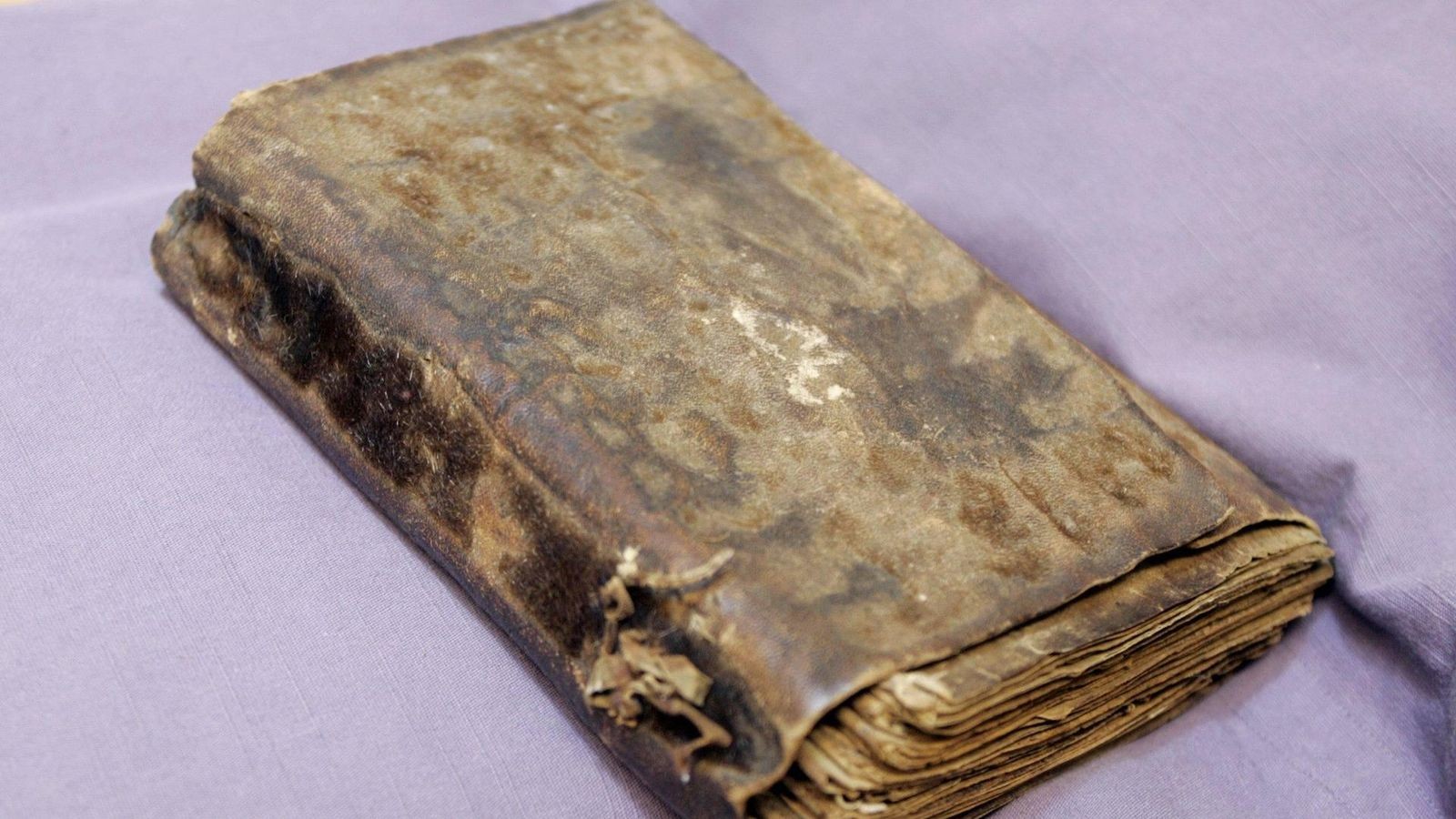 Forscher rätseln über haarige Bücher