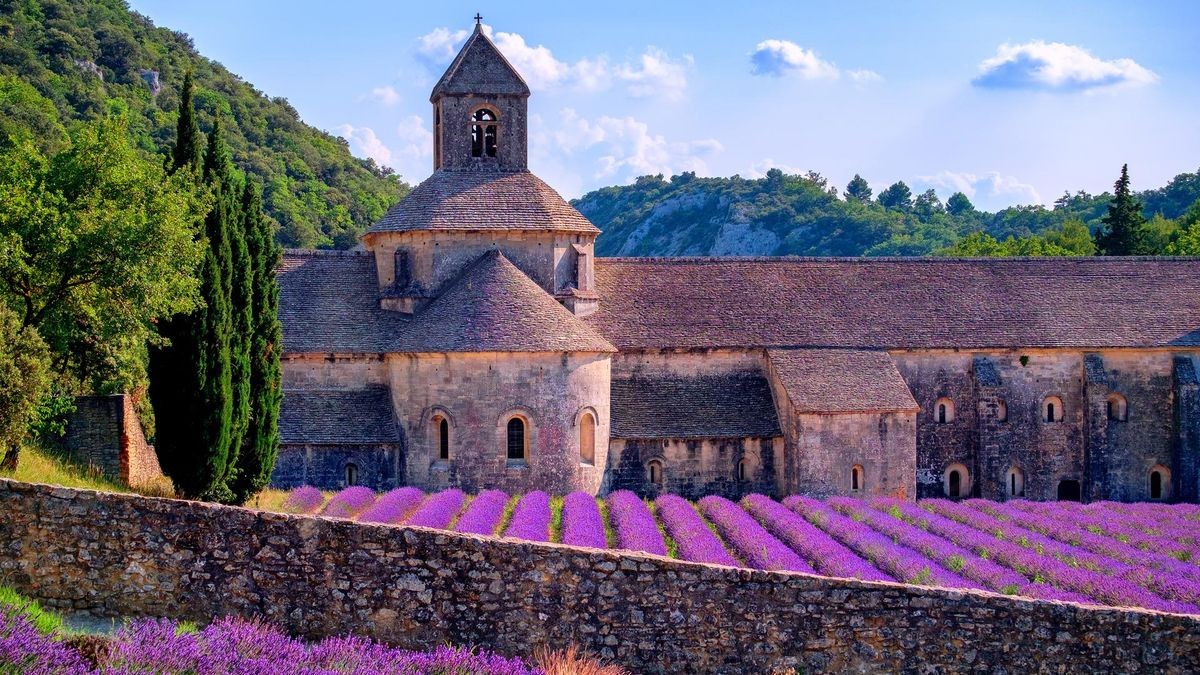 Lavendel blüht auf einem Feld vor dem Kloster Sénanque im Süden Frankreichs. (Symbolbild)