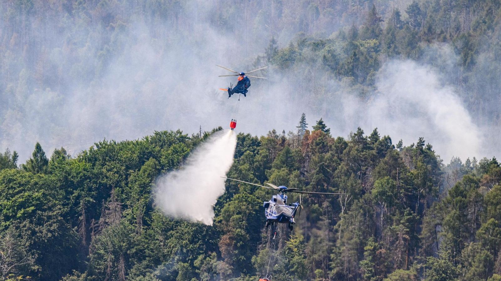 Waldbrände lodern nahe Ierapetra – Hotels und Dörfer evakuiert