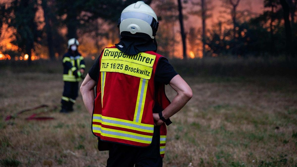 Ausgedehnter Waldbrand an der Landesgrenze zwischen Sachsen und Brandenburg
