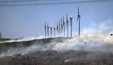 Feuer wüten in der Türkei – ungewöhnliches Phänomen im Nordosten