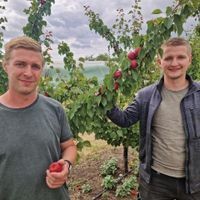 Obsthof Halbhuber Evessen