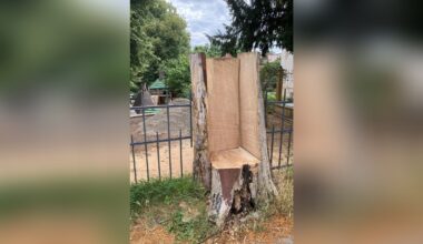 Zerstörungswut? Skulptur vor Jenaer Schule verschwunden