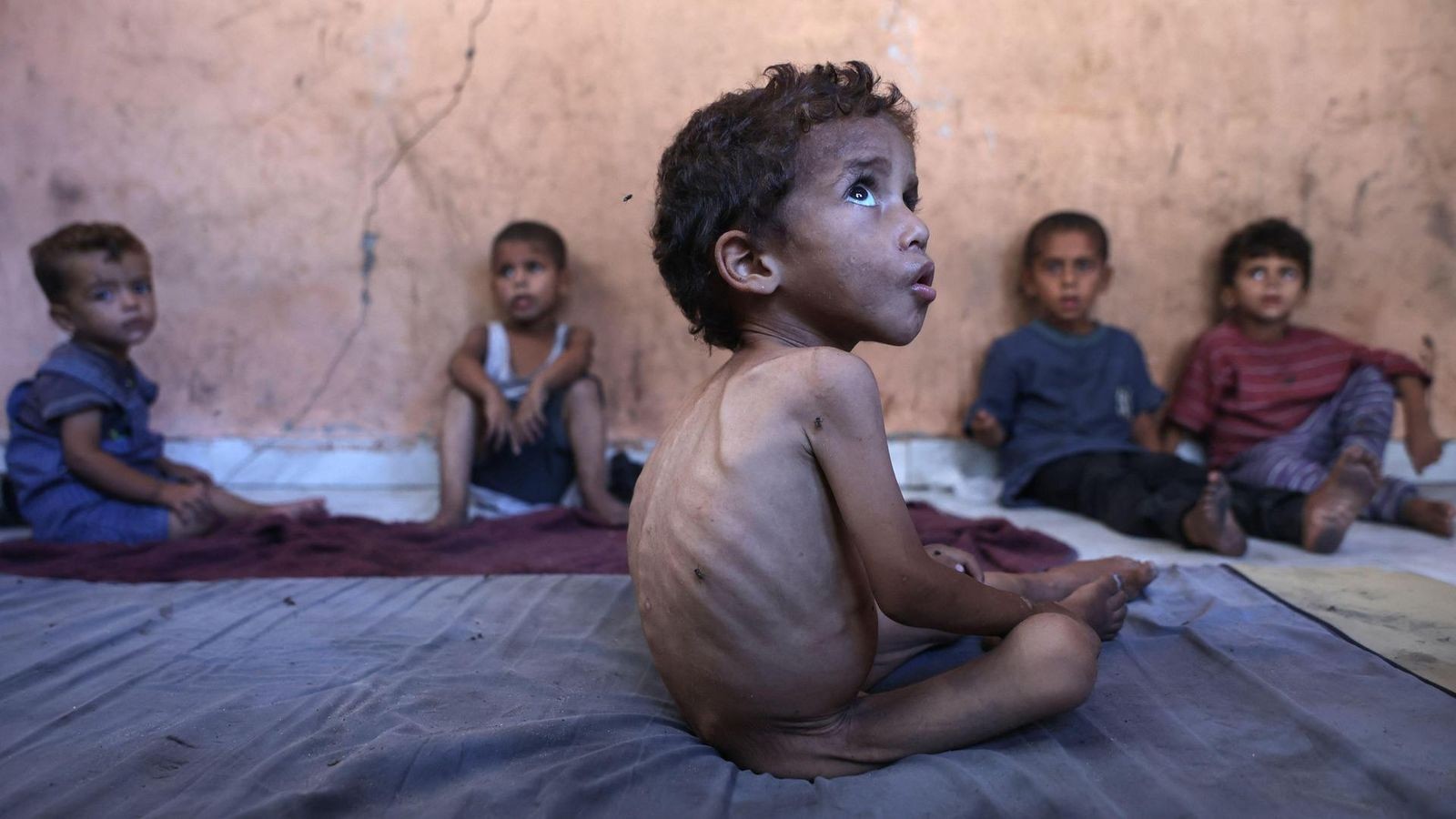Israel kündigt weitere Hilfslieferungen und Kampfpausen in Gaza an