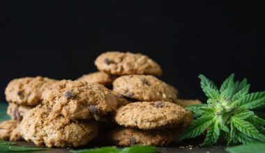Lebensgefährlich! Oma gibt Enkelkindern aus Versehen Cannabis-Kekse | Regional