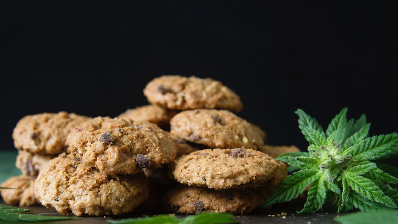 Lebensgefährlich! Oma gibt Enkelkindern aus Versehen Cannabis-Kekse | Regional