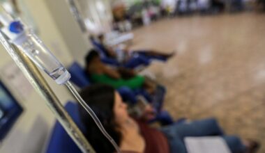 Rom: Frau an West-Nil-Virus gestorben
