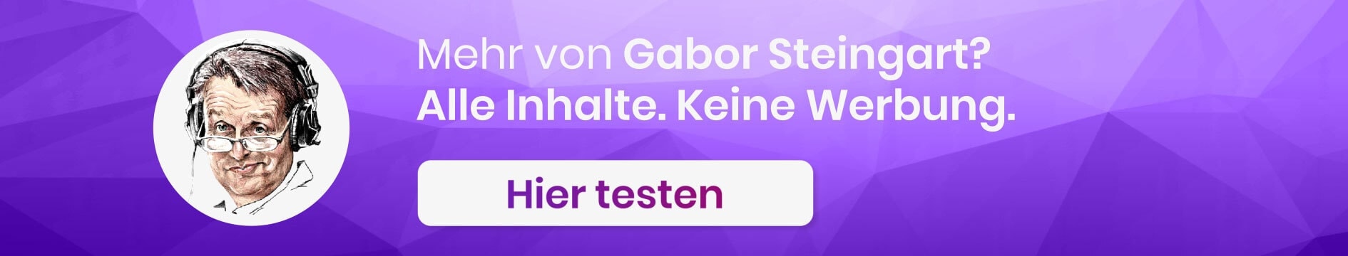 Steingart Widget