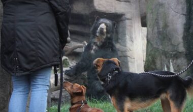 Zoo Duisburg öffnet täglich für Hunde