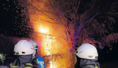 Mannheim: Brand einer Gartenhütte - Polizeiberichte aus Rhein-Neckar-Odenwald