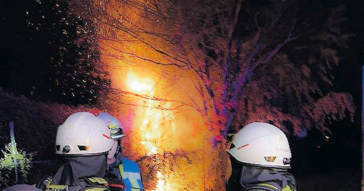 Mannheim: Brand einer Gartenhütte - Polizeiberichte aus Rhein-Neckar-Odenwald