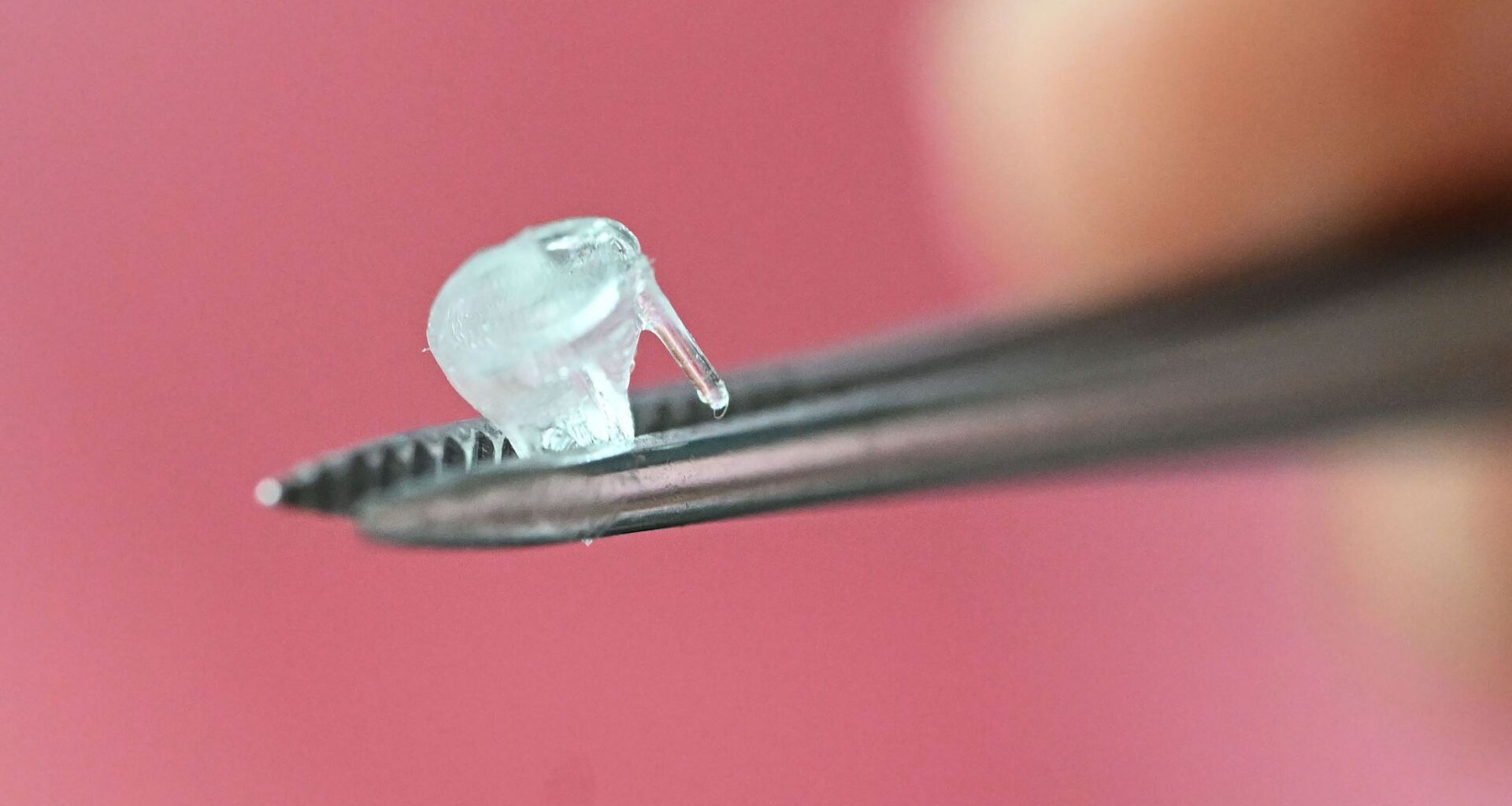 3D-Bioprinting senkt Zahl der Tierversuche - Baden-Württemberg